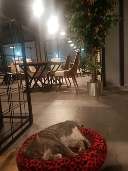 Forbe Cafe Restaurant Kütahya Tenis Kulubü resimleri
