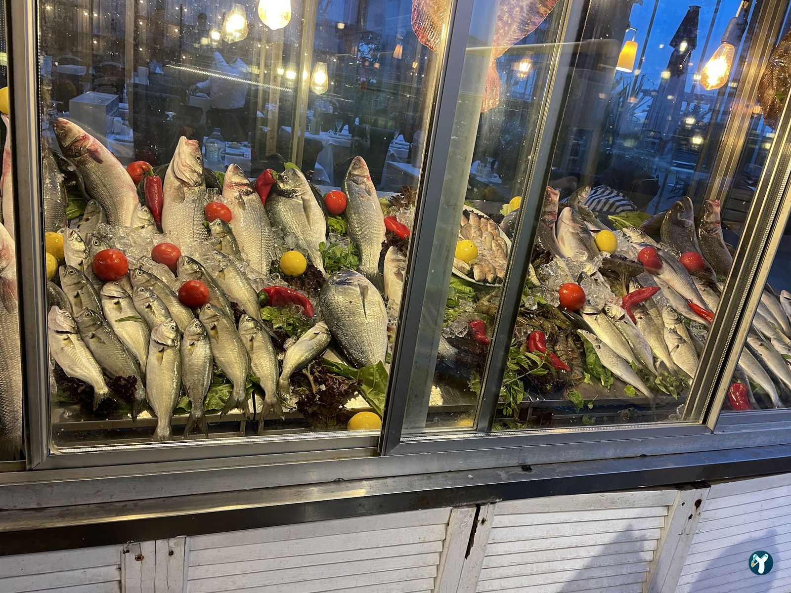 Papalina Balık Restoranı Ataköy Marina