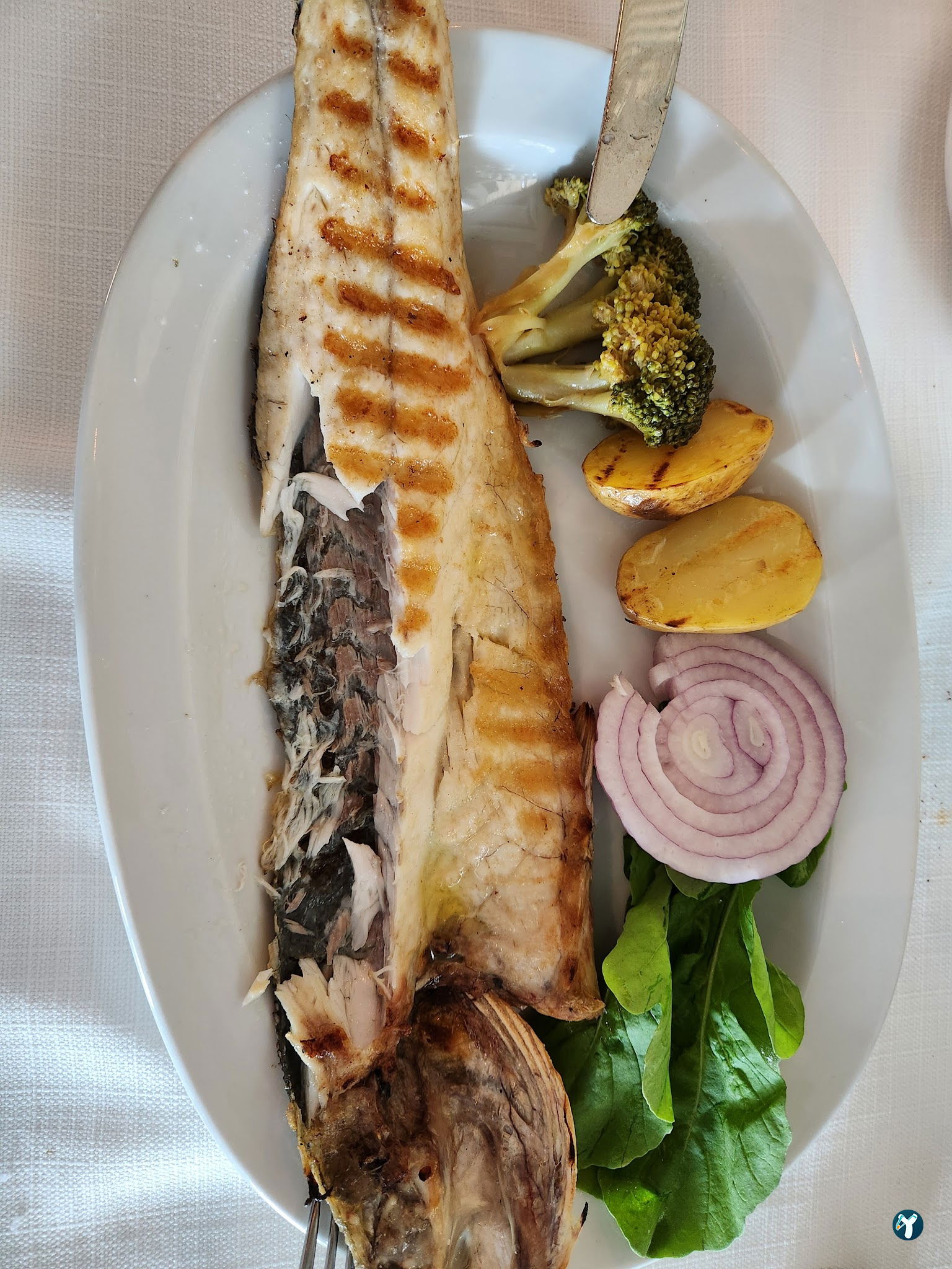 Papalina Balık Restoranı Ataköy Marina