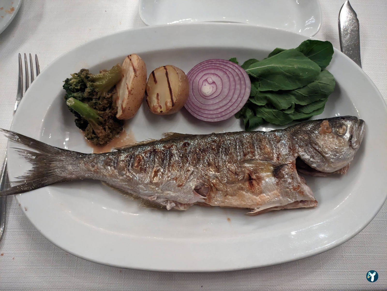Papalina Balık Restoranı Ataköy Marina