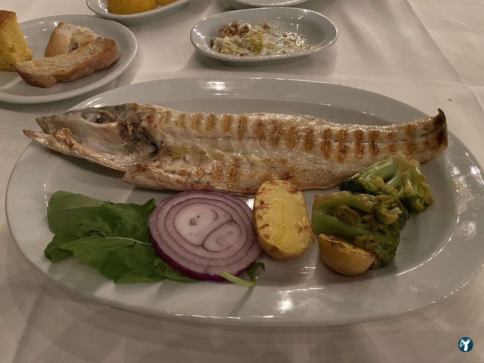 Papalina Balık Restoranı Ataköy Marina