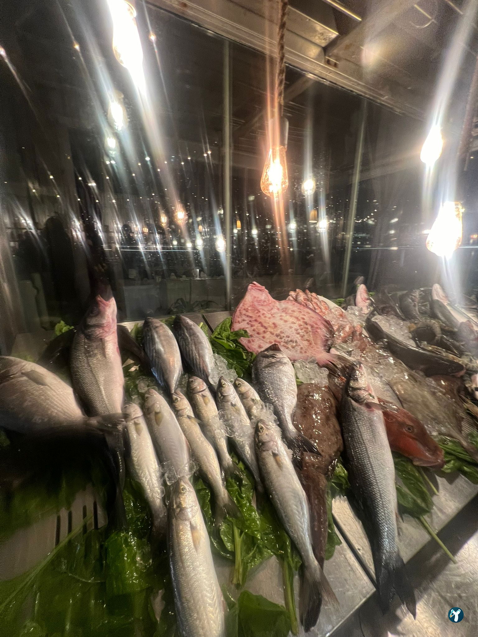 Papalina Balık Restoranı Ataköy Marina