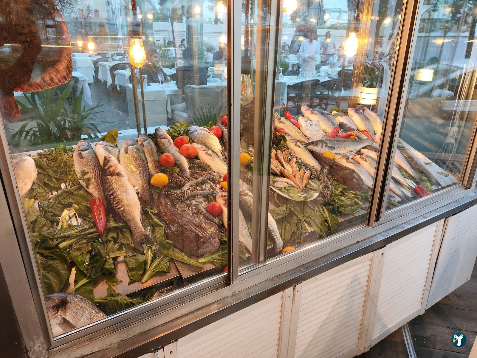 Papalina Balık Restoranı Ataköy Marina