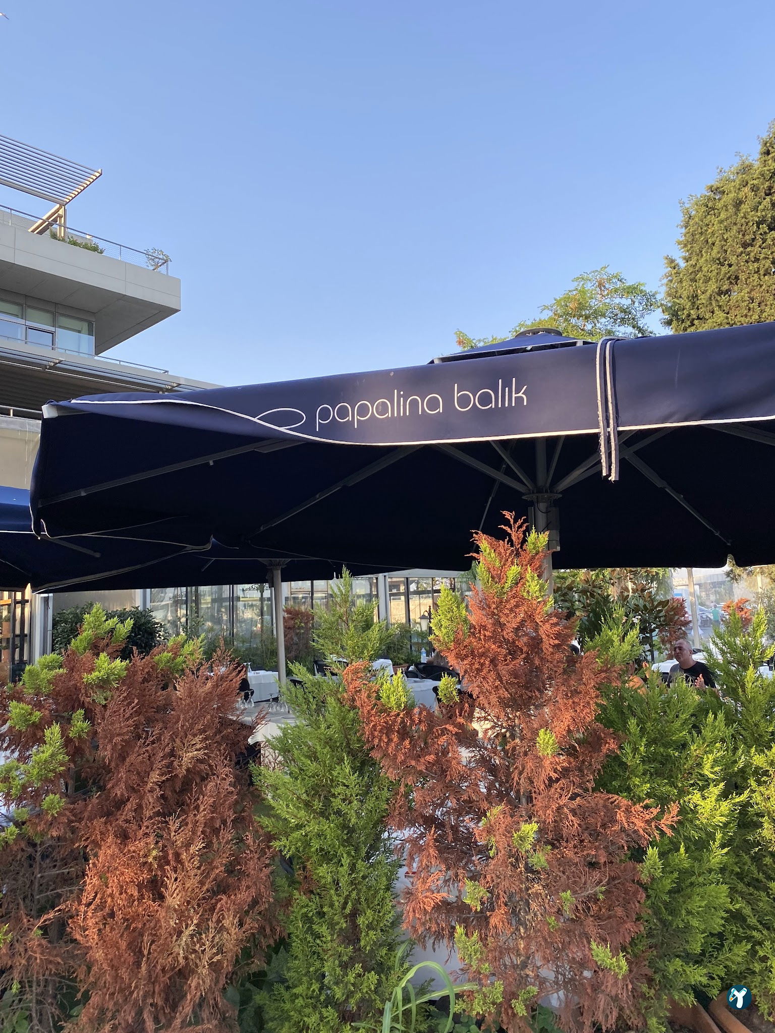 Papalina Balık Restoranı Ataköy Marina