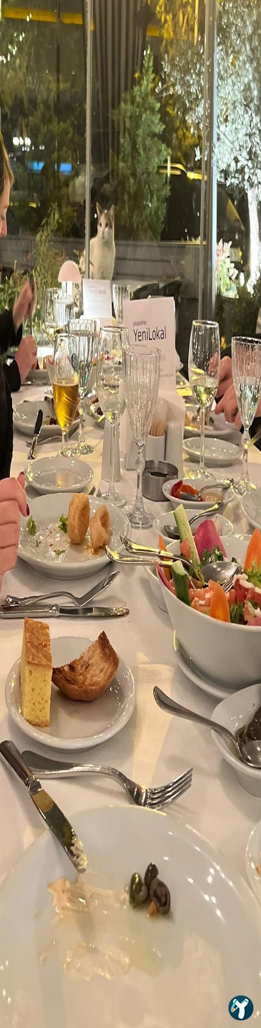 Papalina Balık Restoranı Ataköy Marina