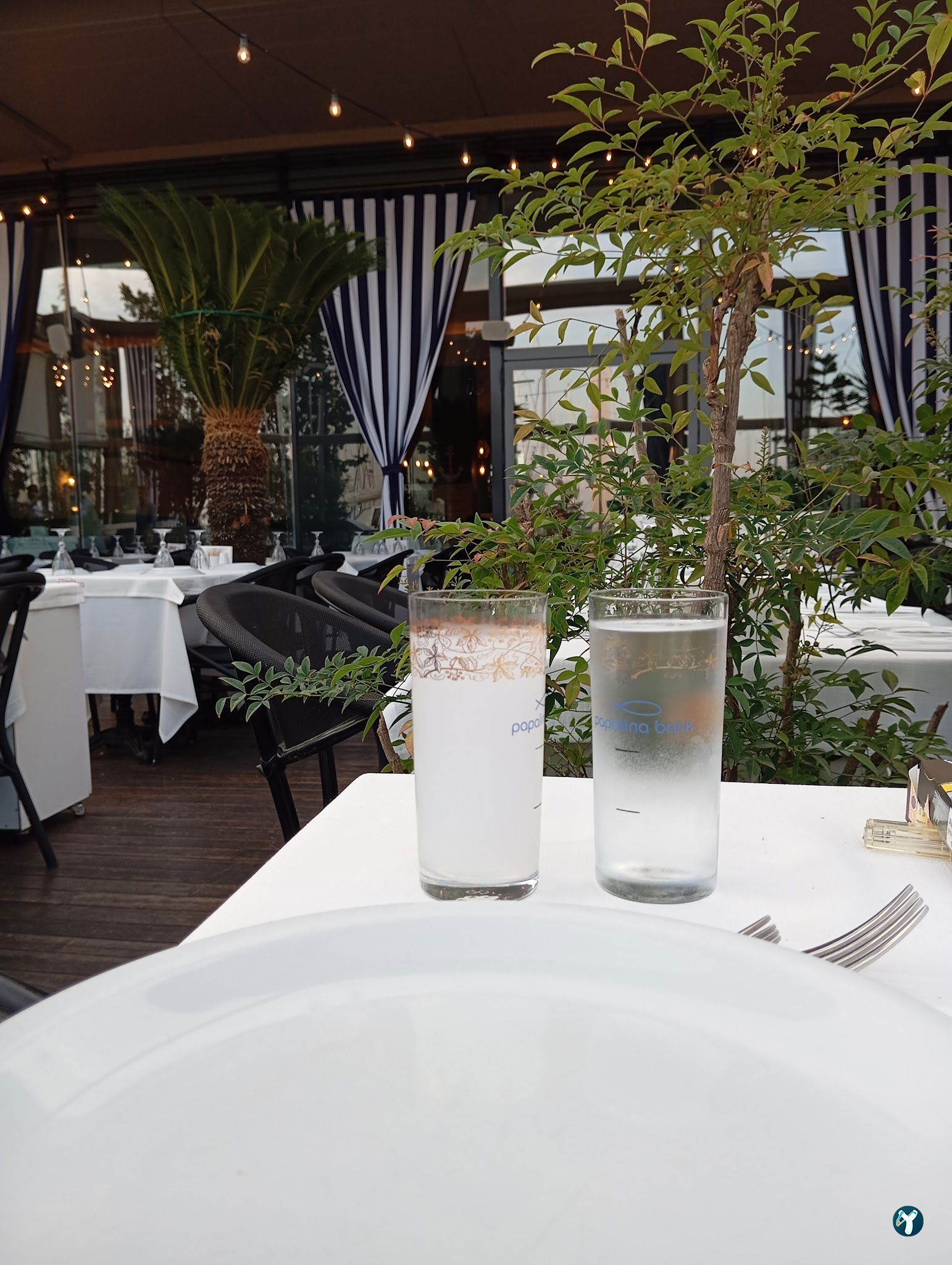 Papalina Balık Restoranı Ataköy Marina