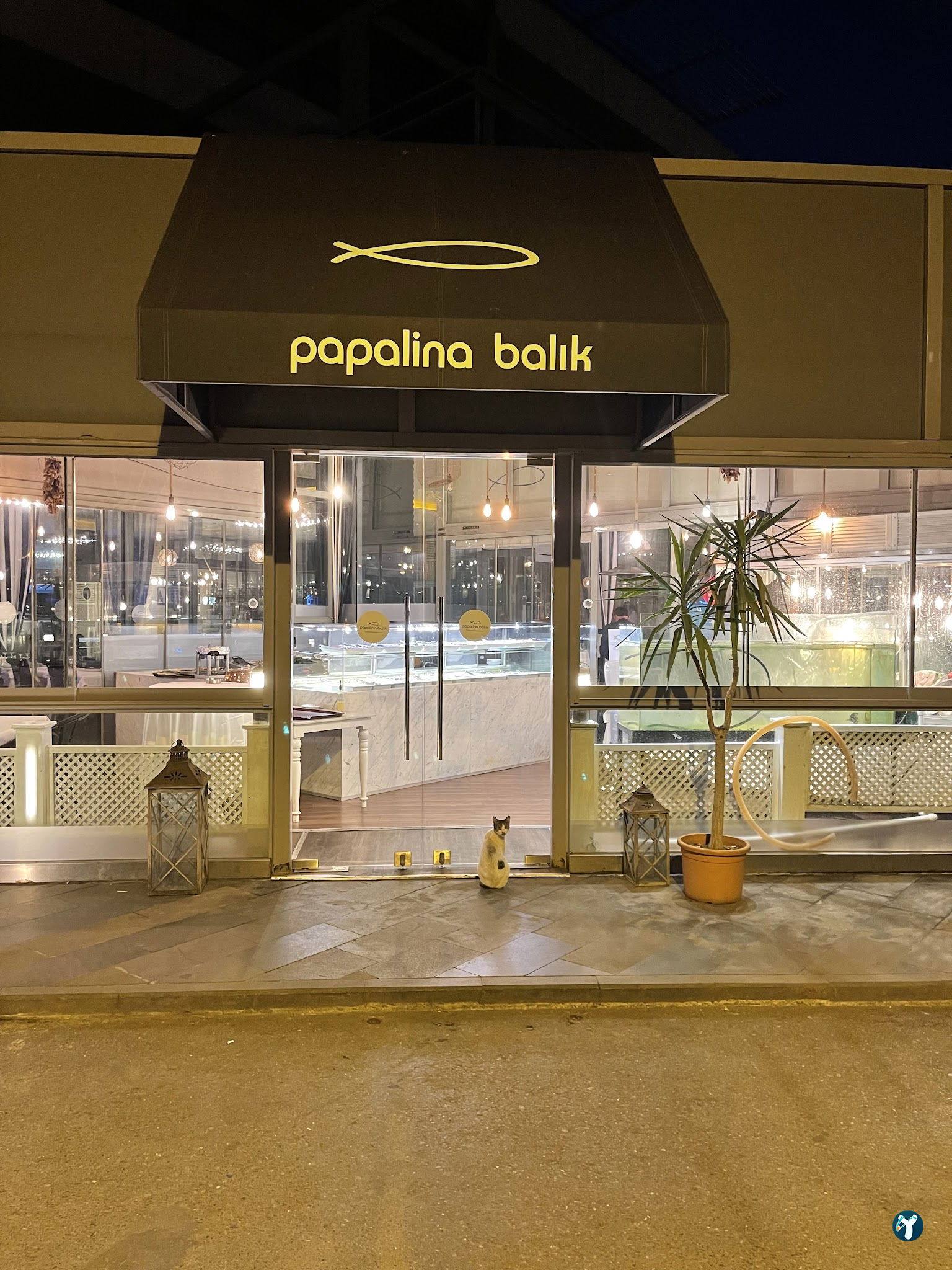 Papalina Balık Restoranı Ataköy Marina