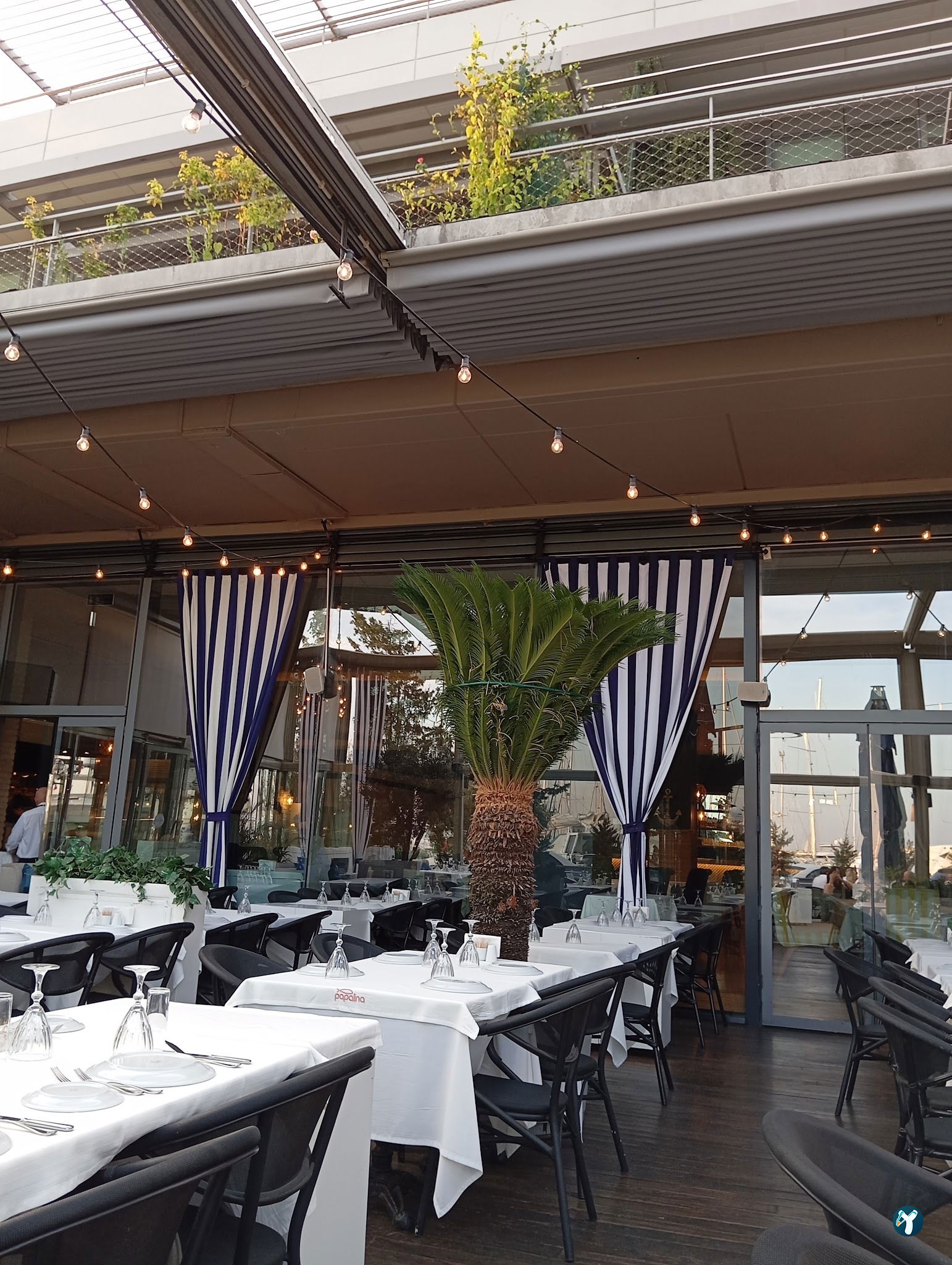 Papalina Balık Restoranı Ataköy Marina