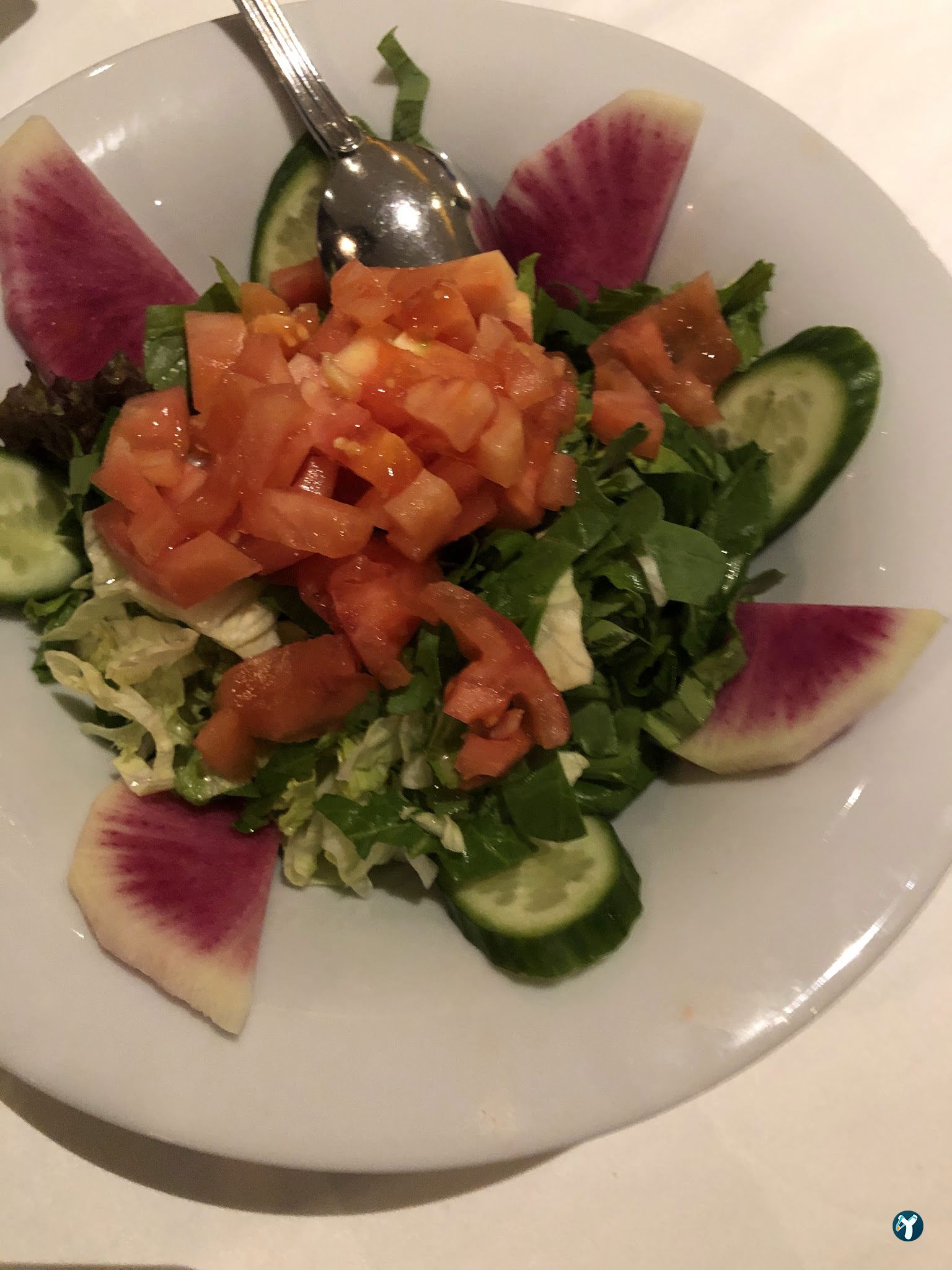 Papalina Balık Restoranı Ataköy Marina