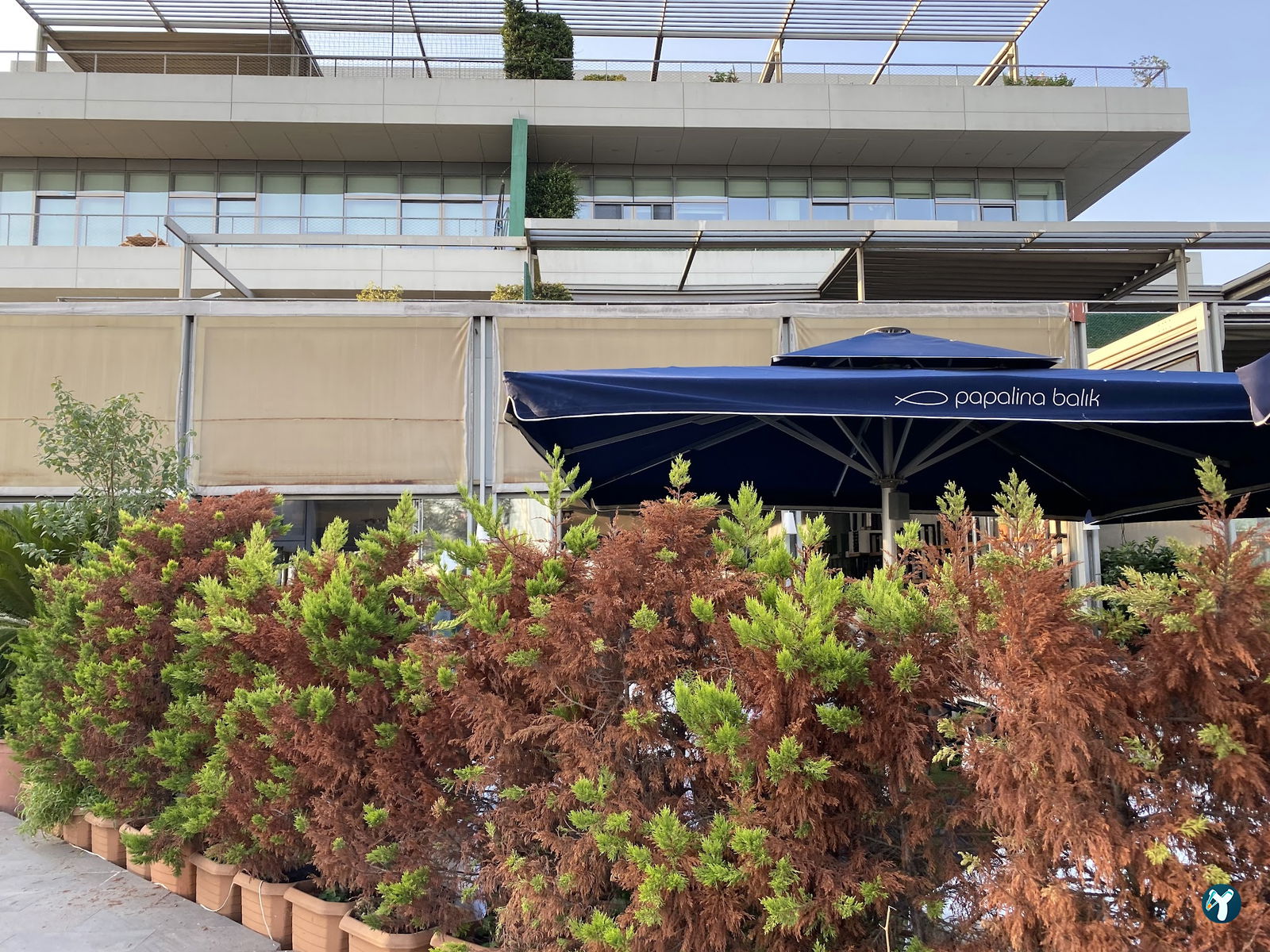 Papalina Balık Restoranı Ataköy Marina