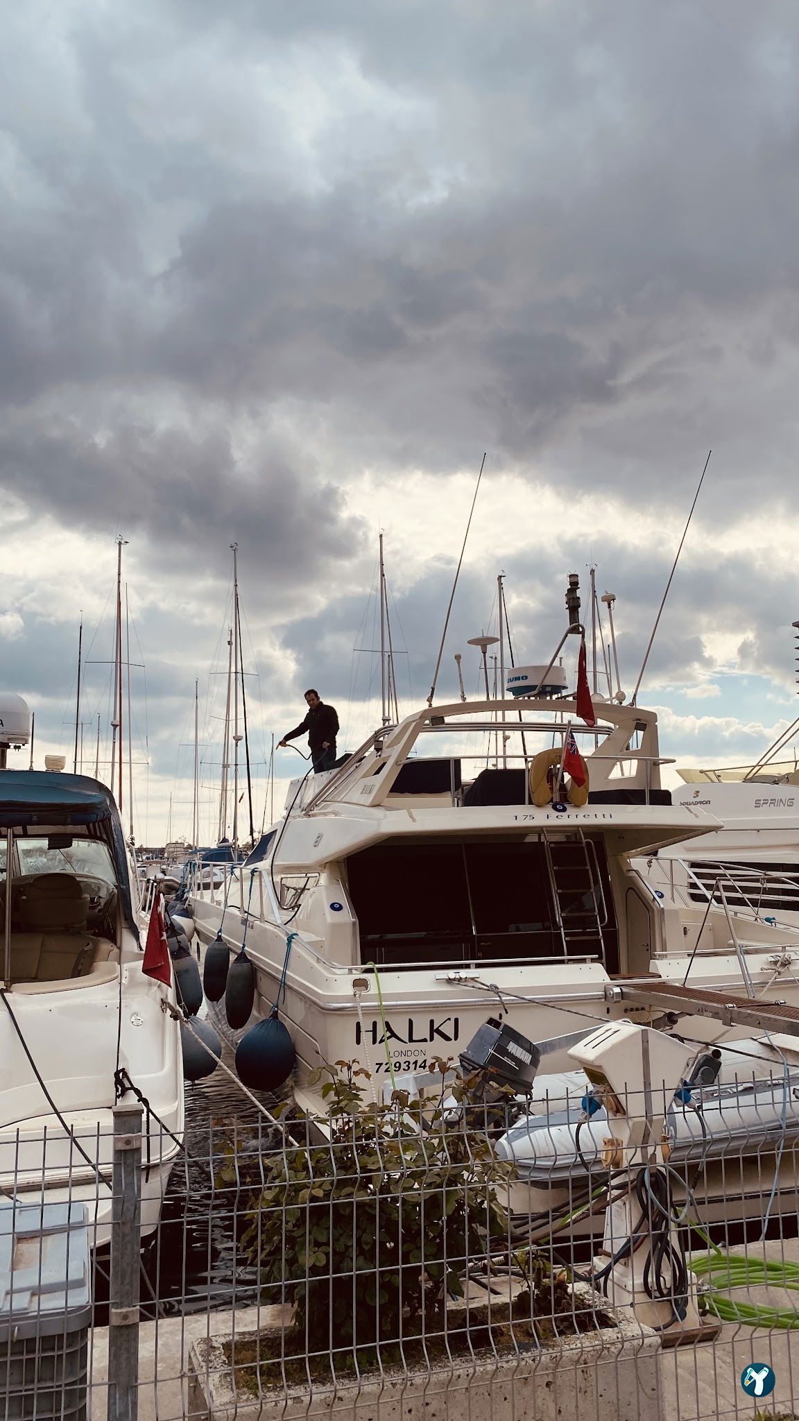 Papalina Balık Restoranı Ataköy Marina