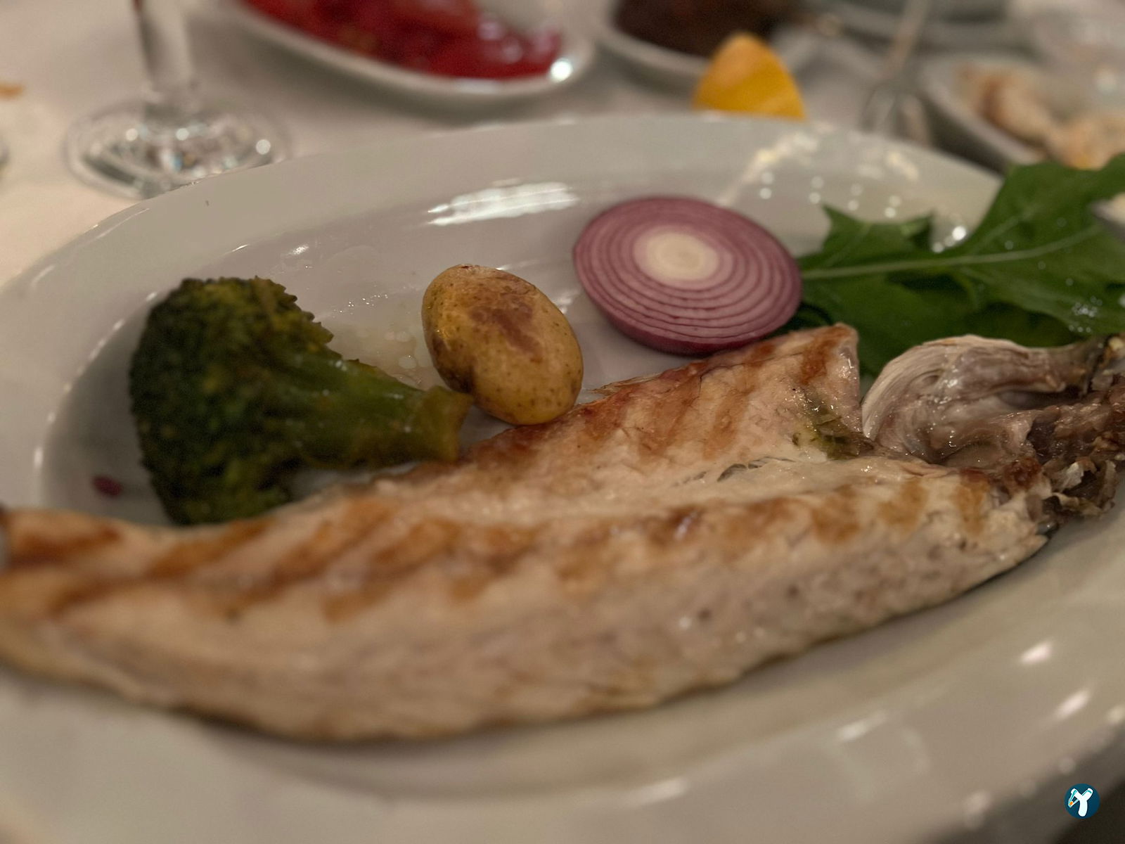 Papalina Balık Restoranı Ataköy Marina