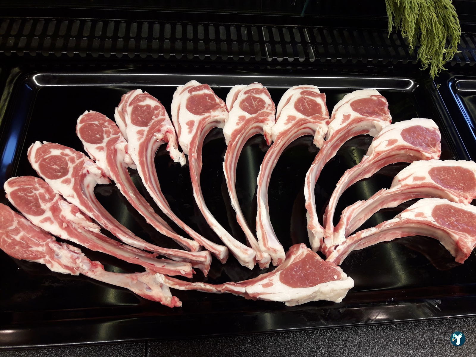 T-Bone Et & Izgara Steakhouse