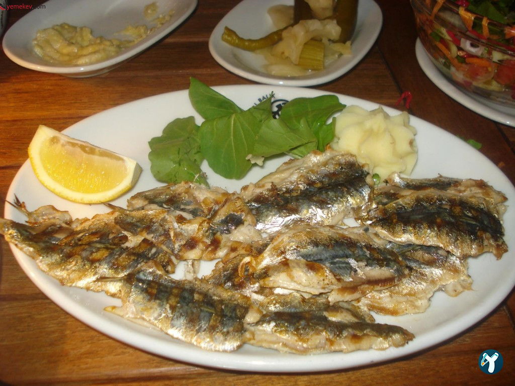 Hayat Cafe & Restorant Bar