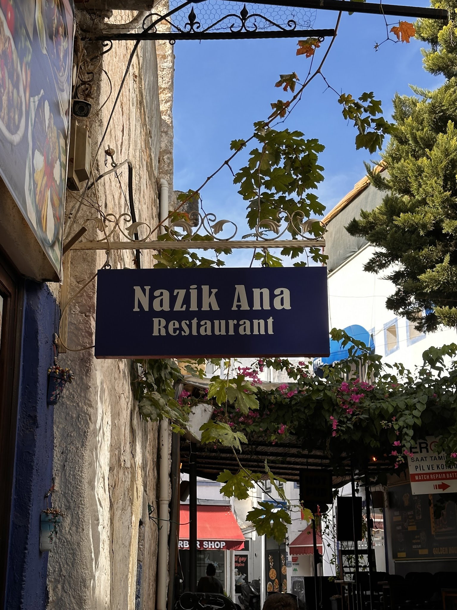 Nazik Ana Restaurant