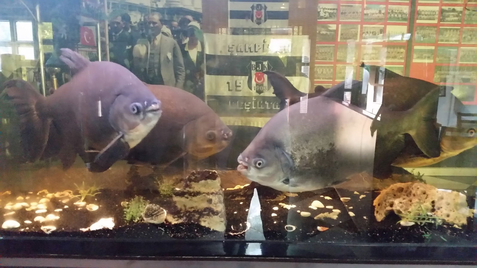 Kartal Yuvası Ocakbaşı