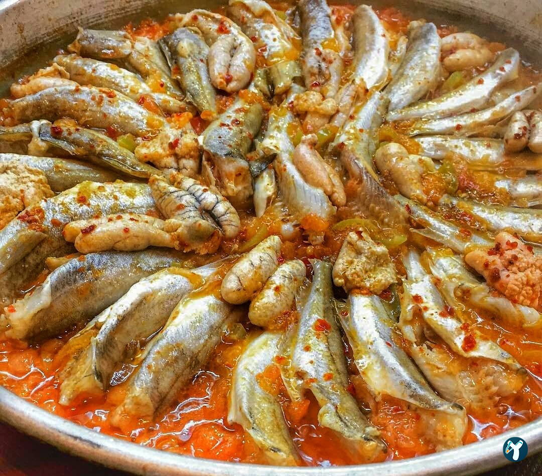 Hancı
