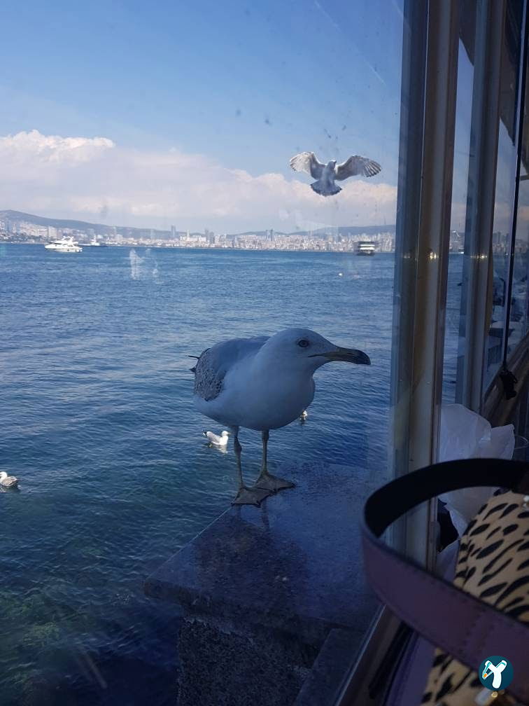 Capri Restaurant