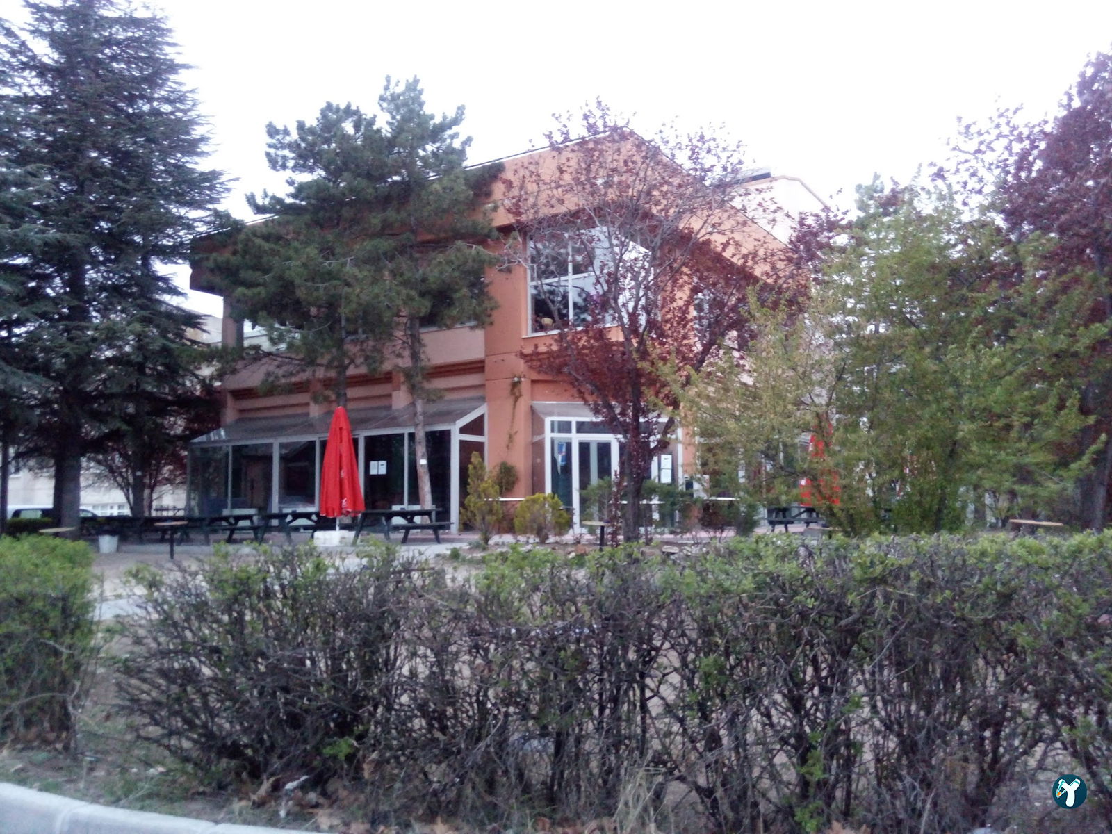 Nacho Cafe
