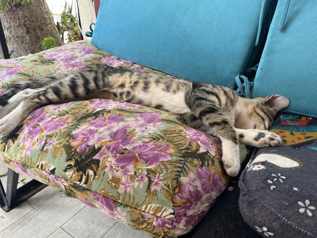 Alanya Waffle Cafe Coffee By Mom Otantik