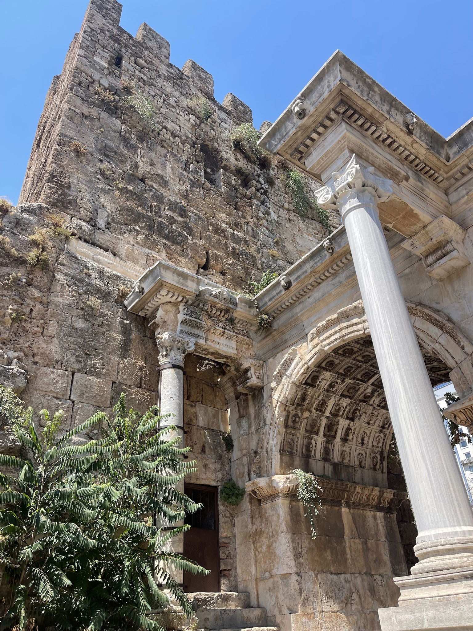 Schiller Kaffee Roosterei