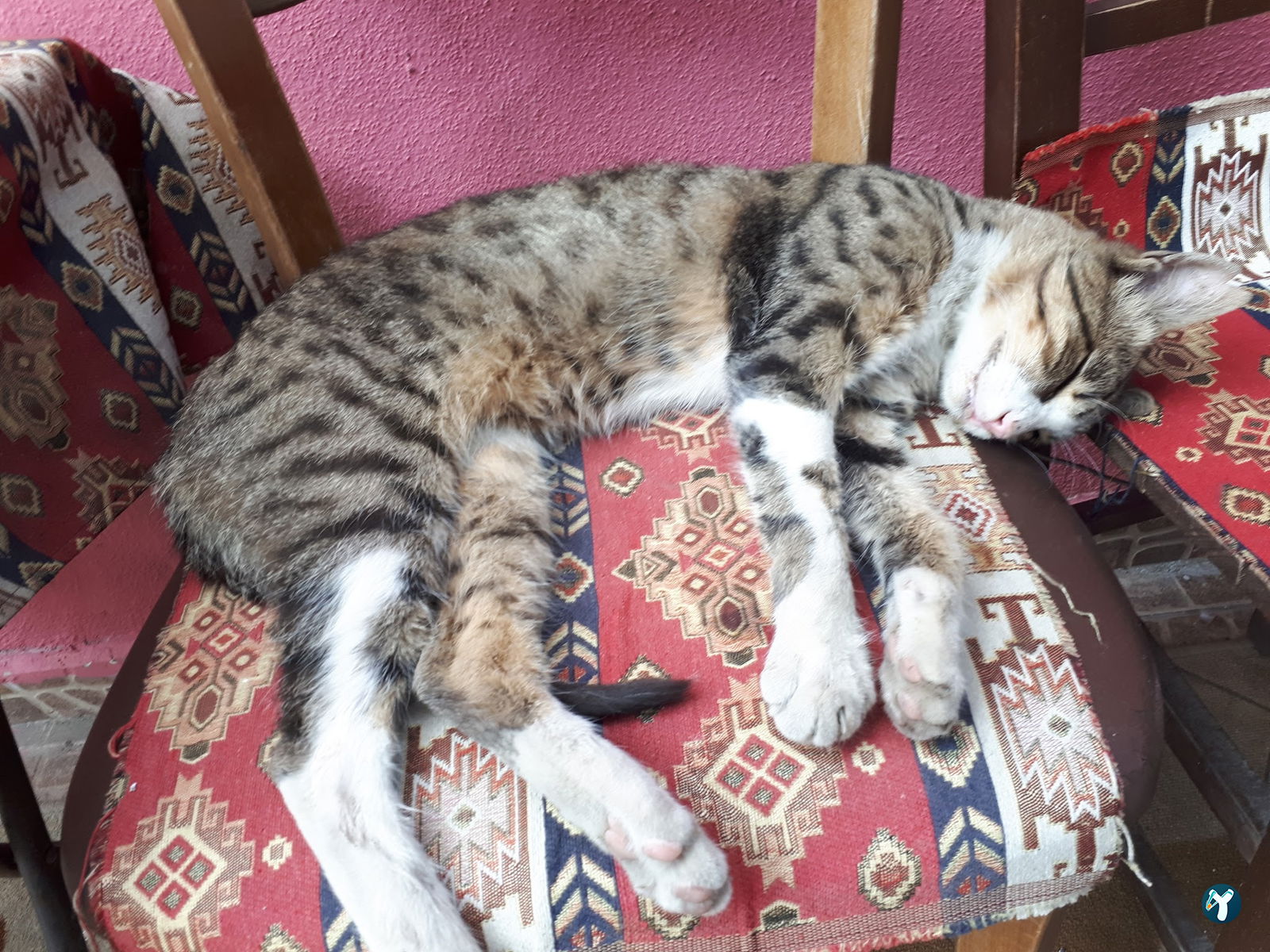 Oz Kebapcioglu