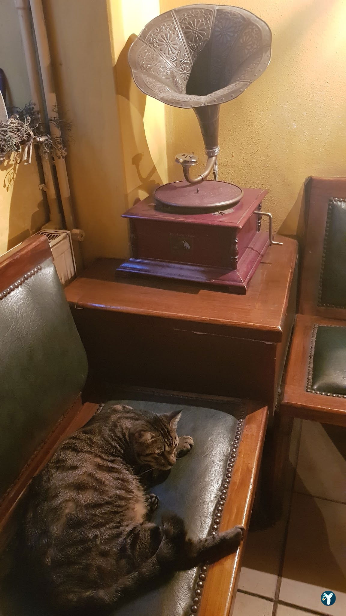 Lâl Cafe Bar