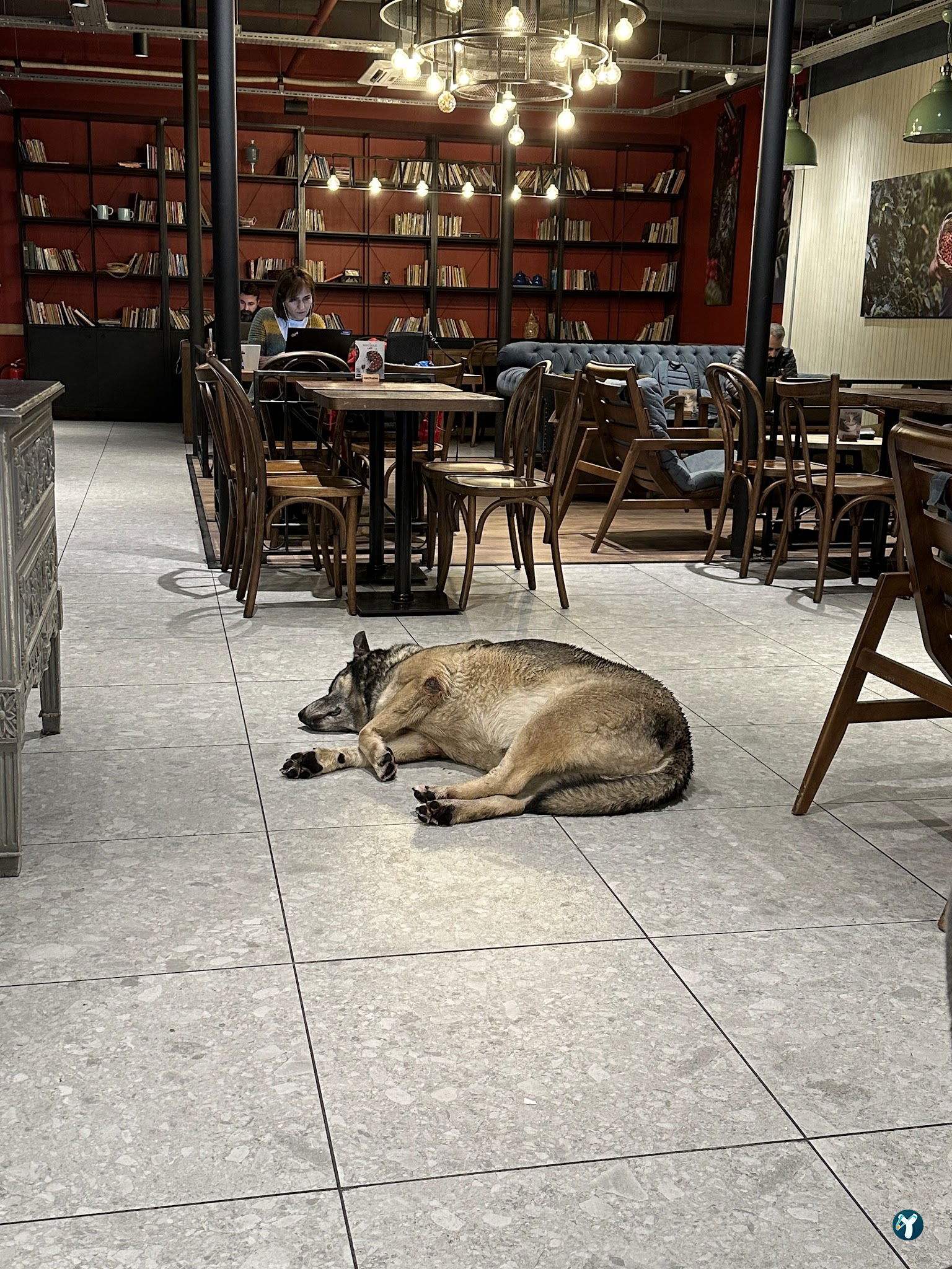 Caffè Nero