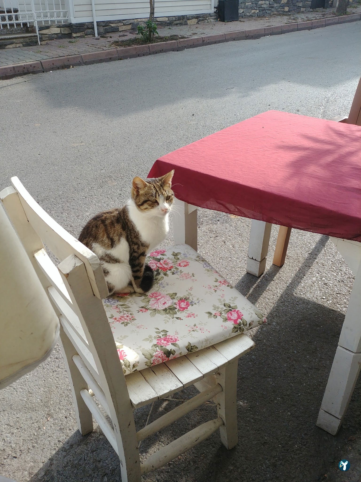Island Breakfast
