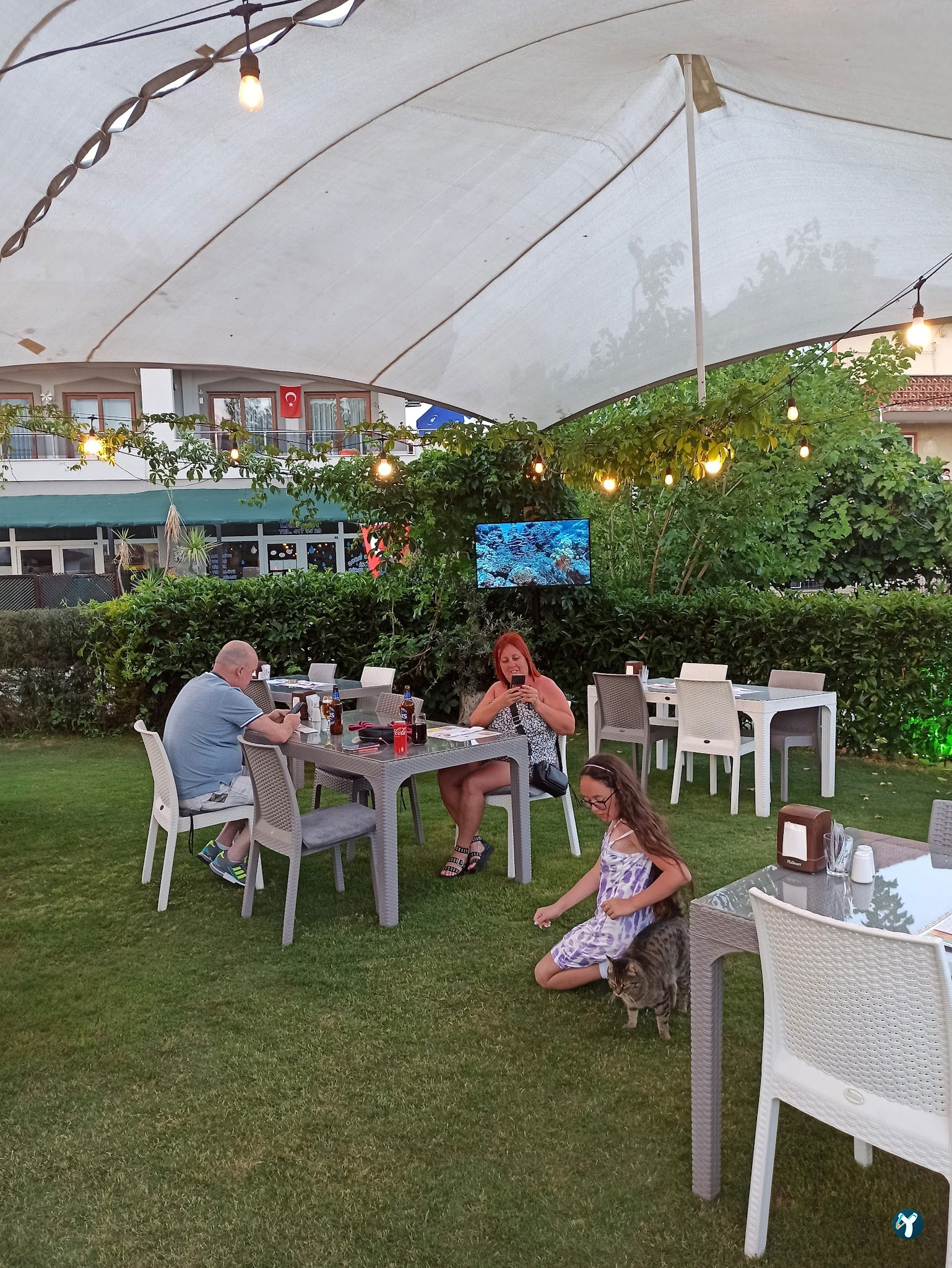 Mandoz Peri Peri Chicken Restaurant And Bar