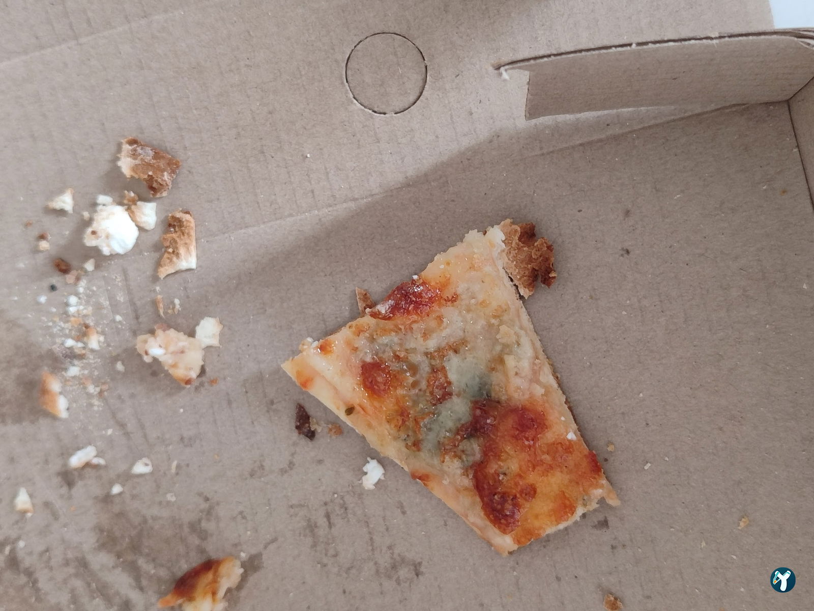 Pizza Il Forno