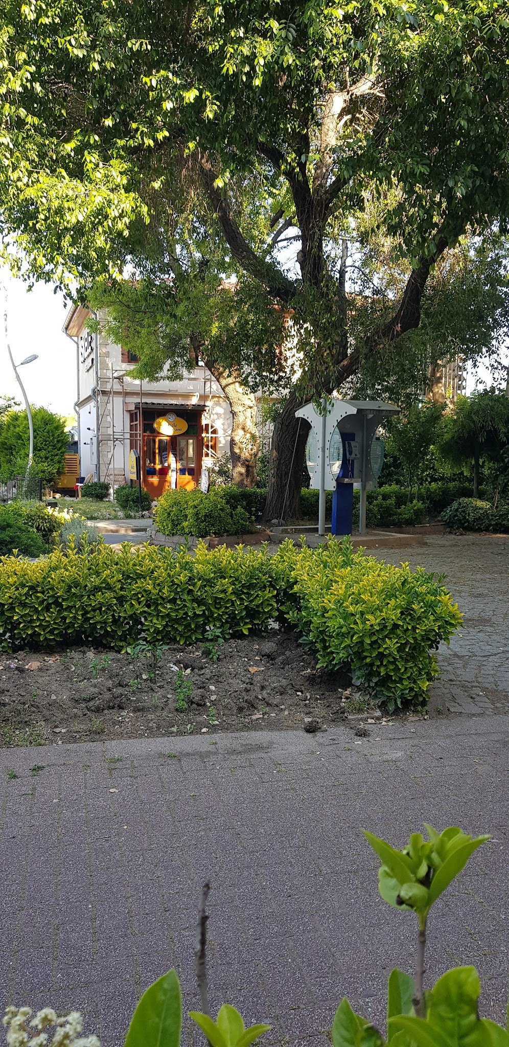 Alesta Restaurant
