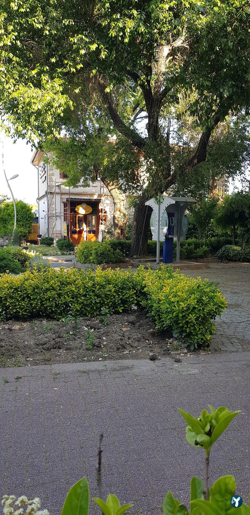 Alesta Restaurant
