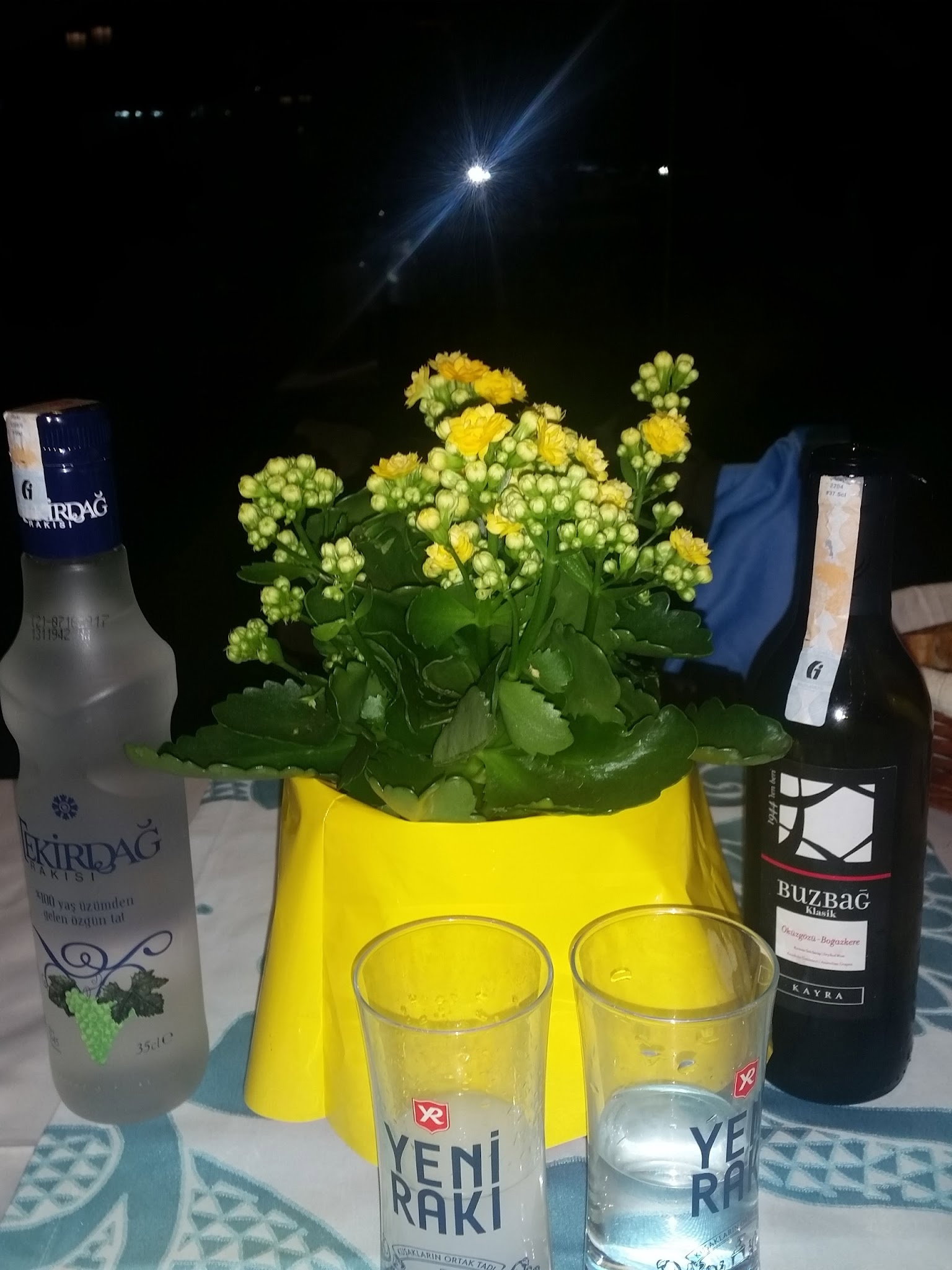 Alesta Restaurant