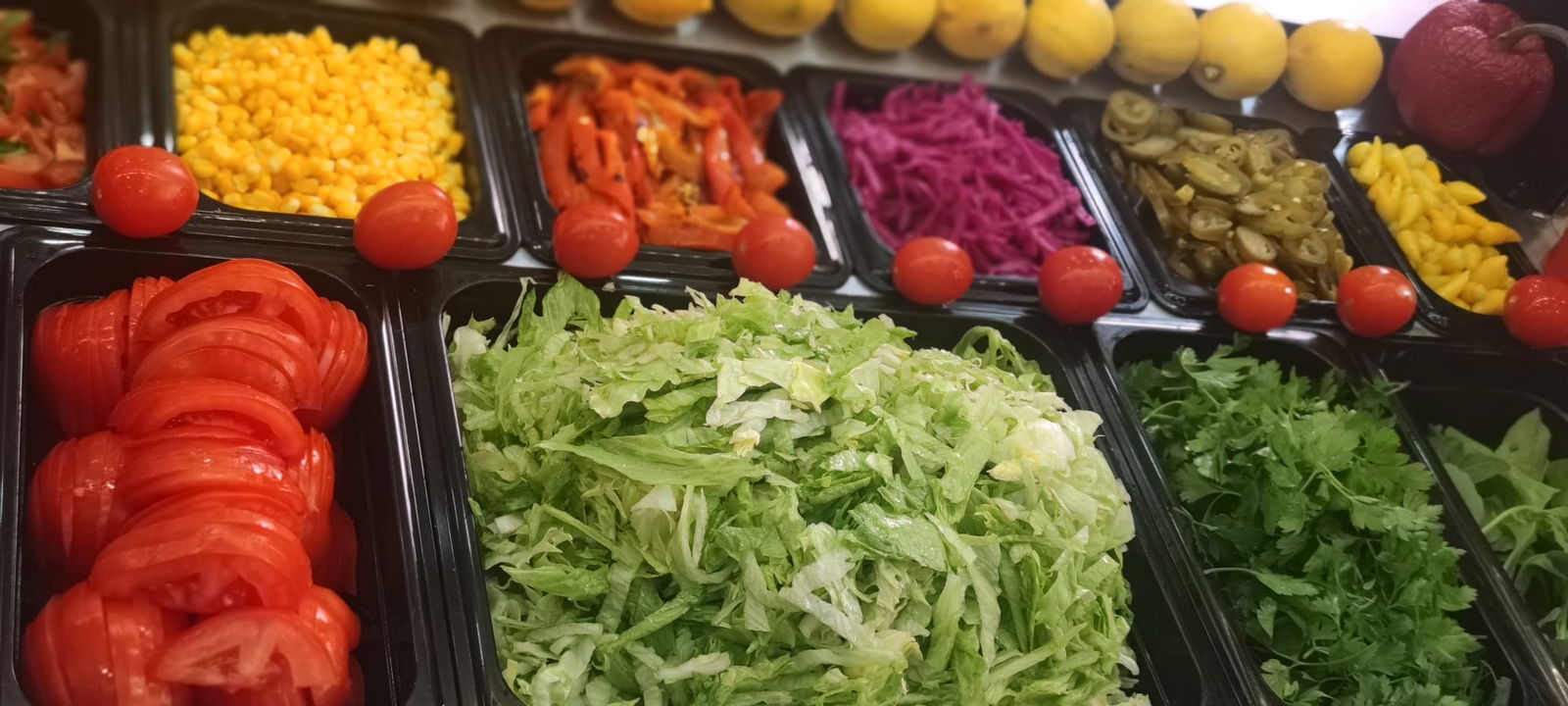 Komagene Üsküdar Selamiali