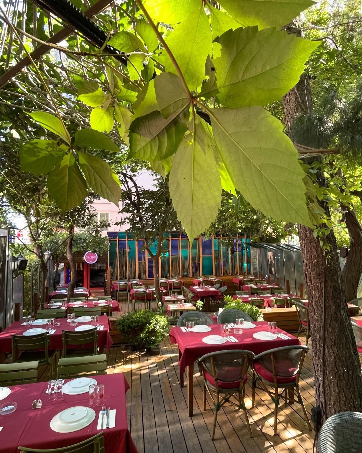 Akl-ı Selim Ocakbaşı