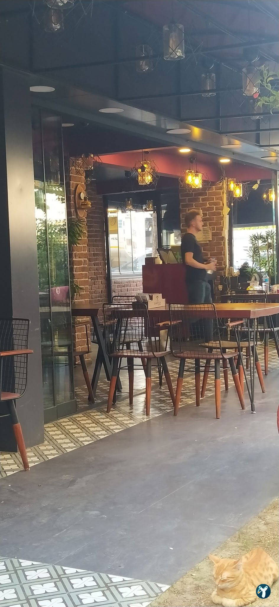 Şampiyon Kokoreç Büyükçekmece