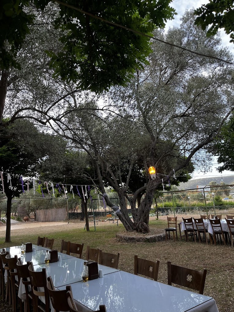 Zeytinlik Restoran