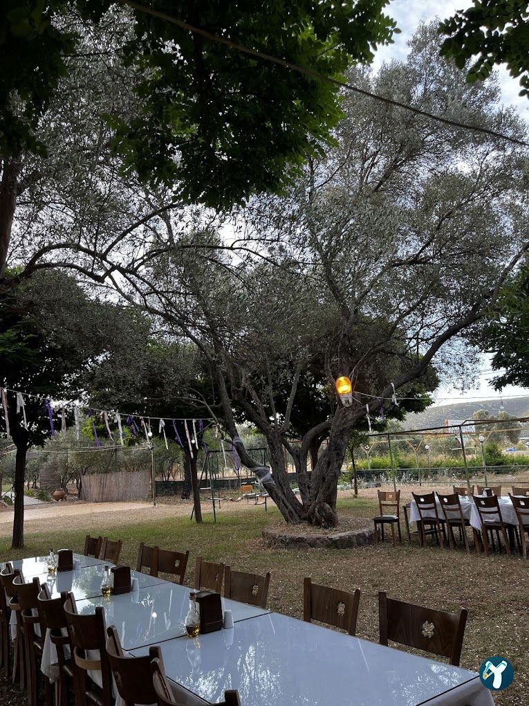 Zeytinlik Restoran