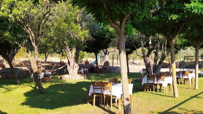 Zeytinlik Restoran