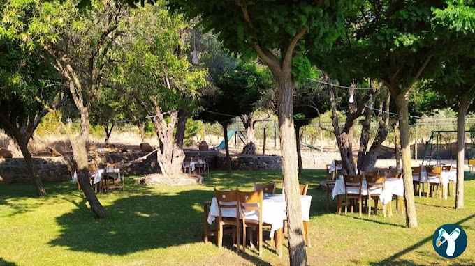 Zeytinlik Restoran