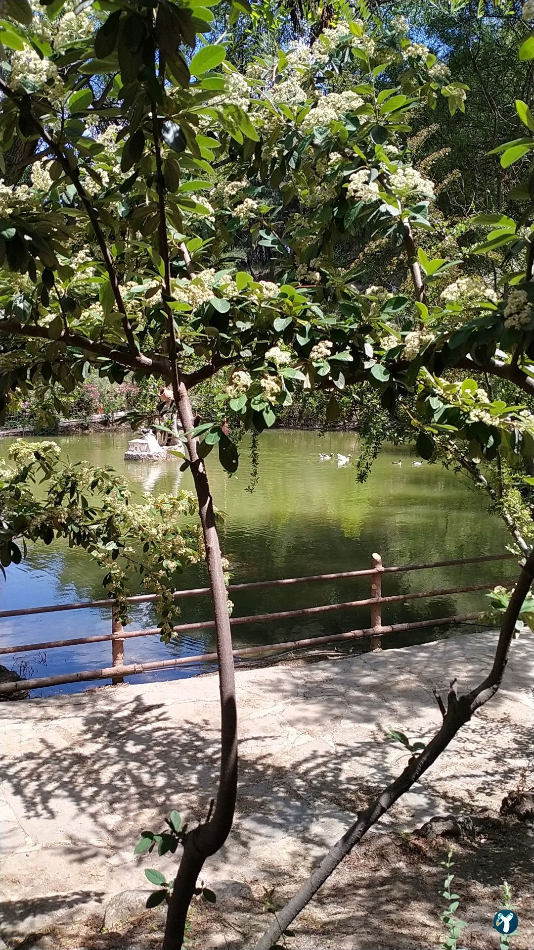 Gölet Restaurant Manisa
