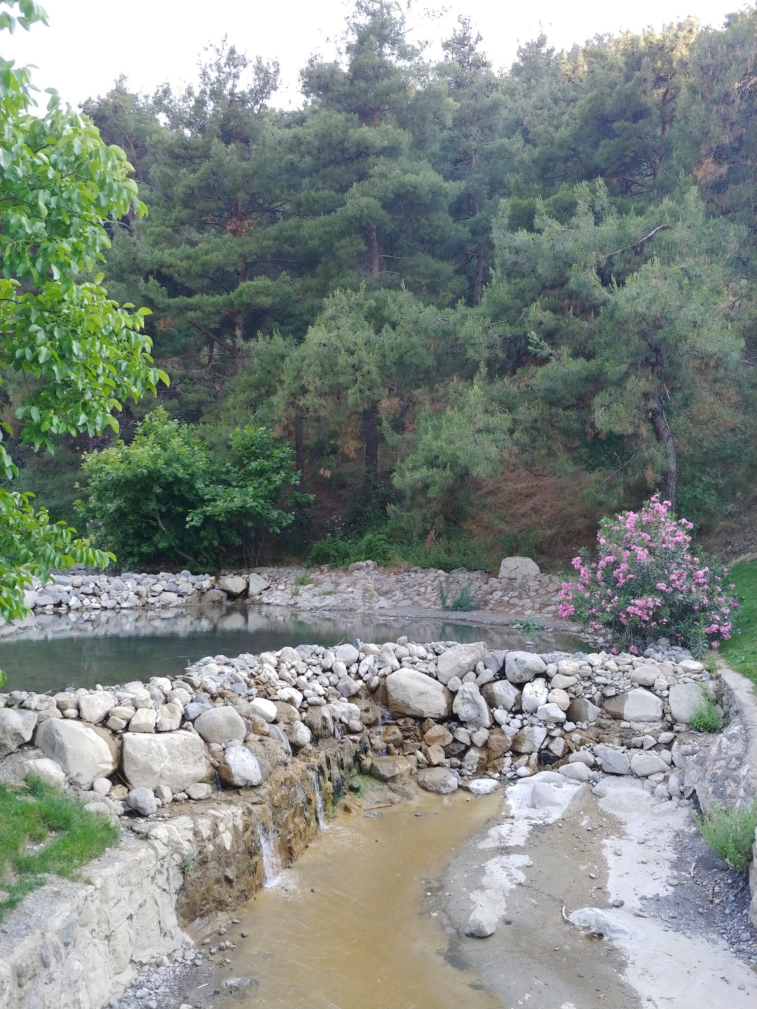 Gölet Restaurant Manisa