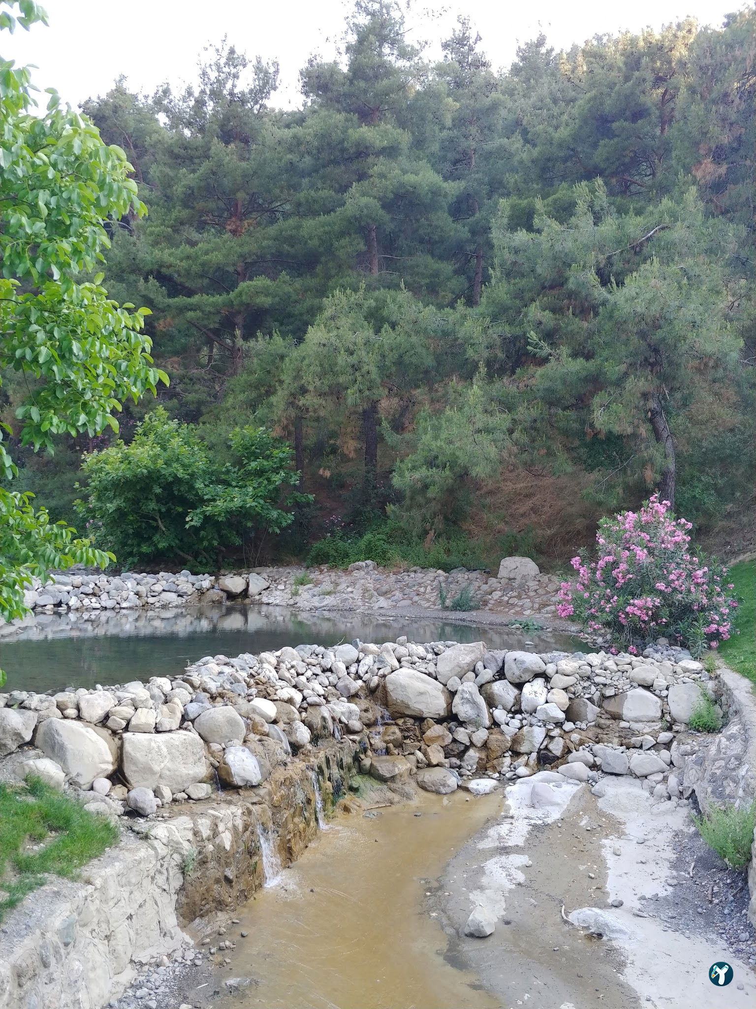 Gölet Restaurant Manisa