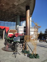 Üzüm Cafe