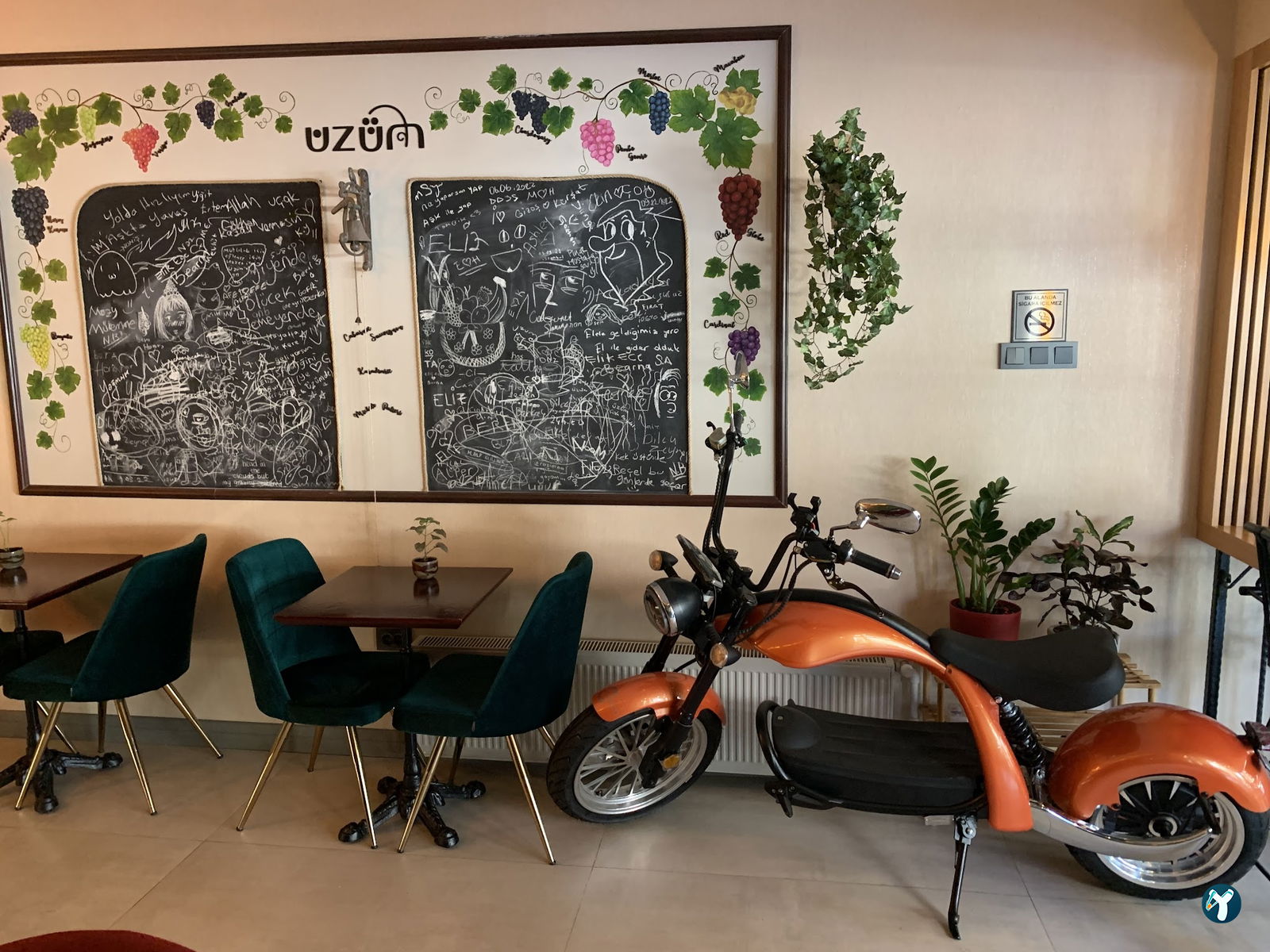 Üzüm Cafe