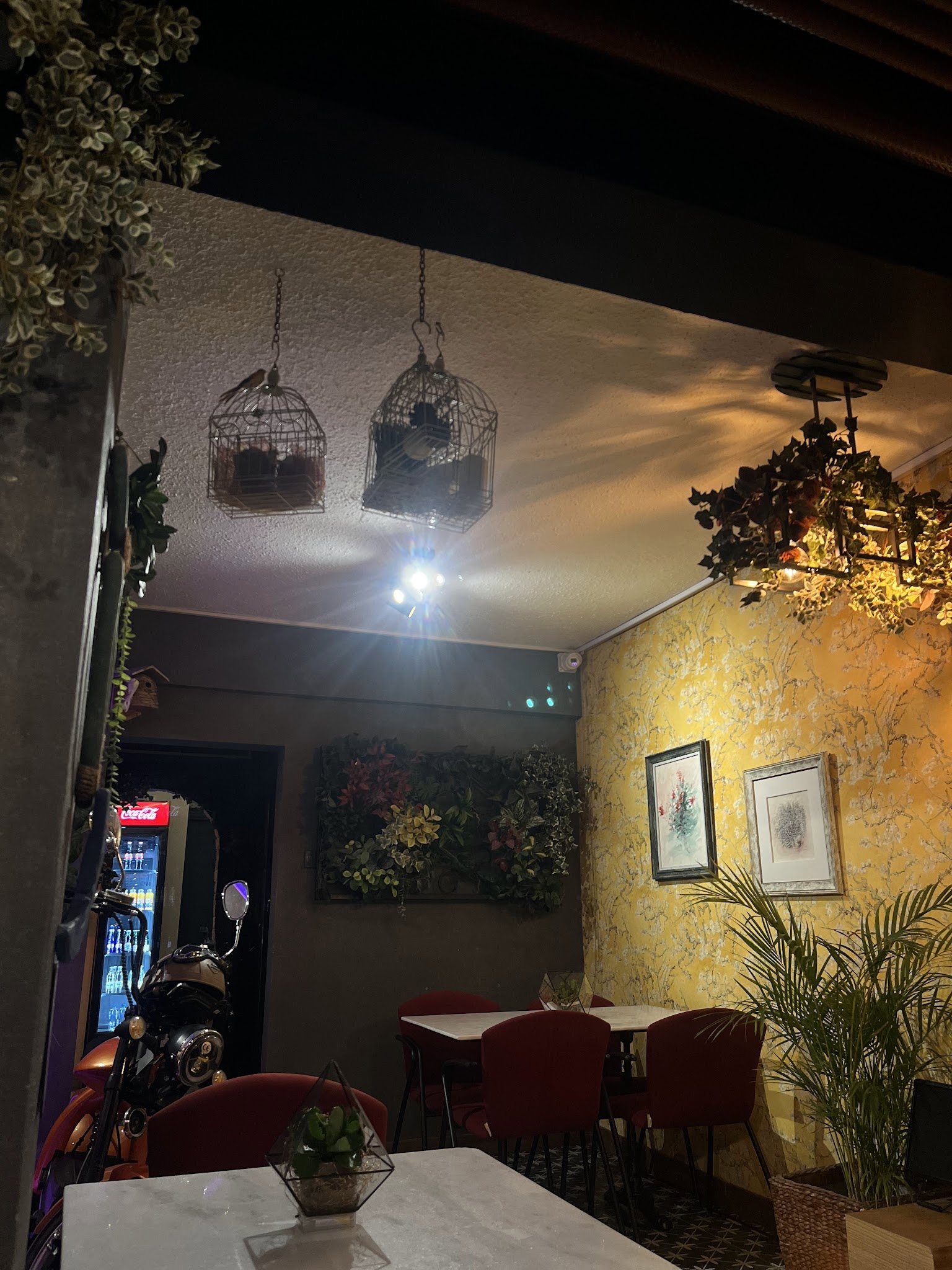 Üzüm Cafe