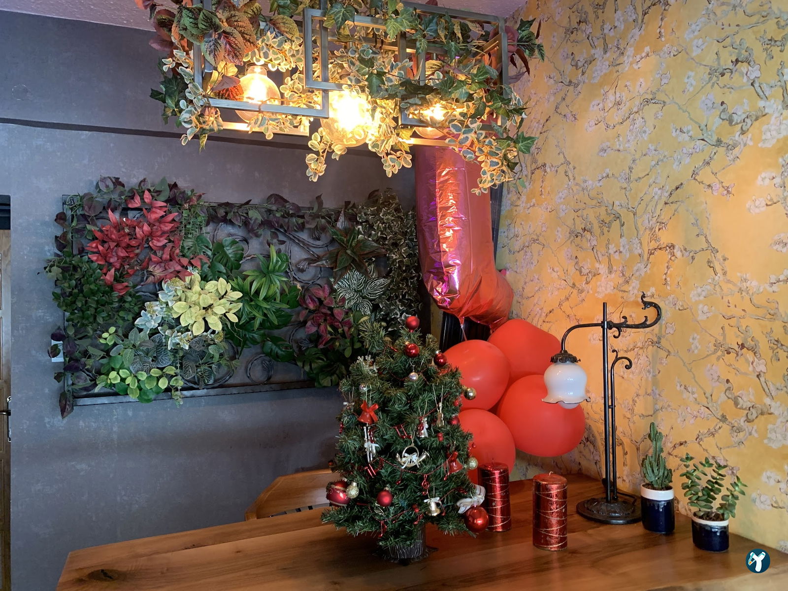 Üzüm Cafe