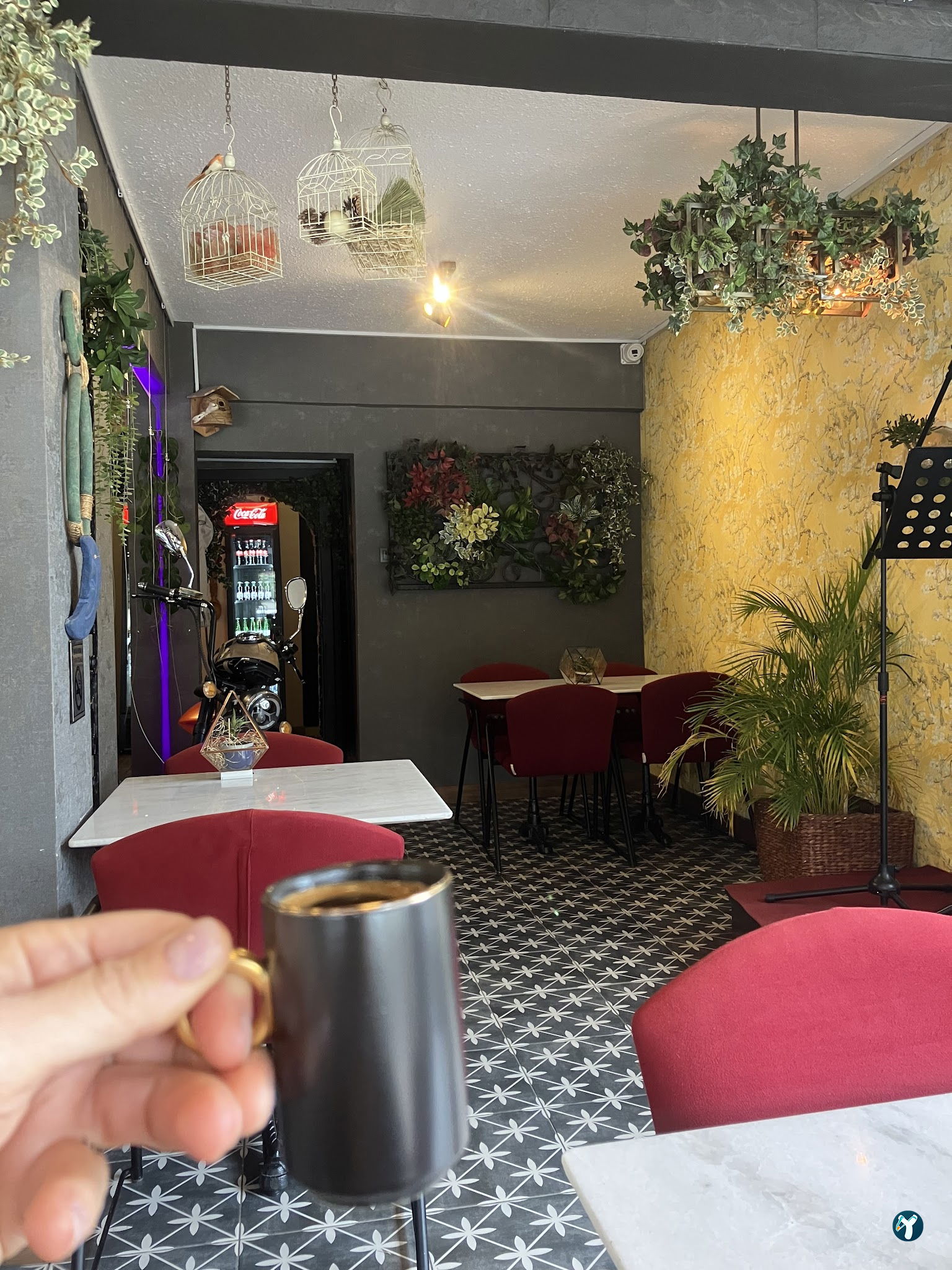 Üzüm Cafe