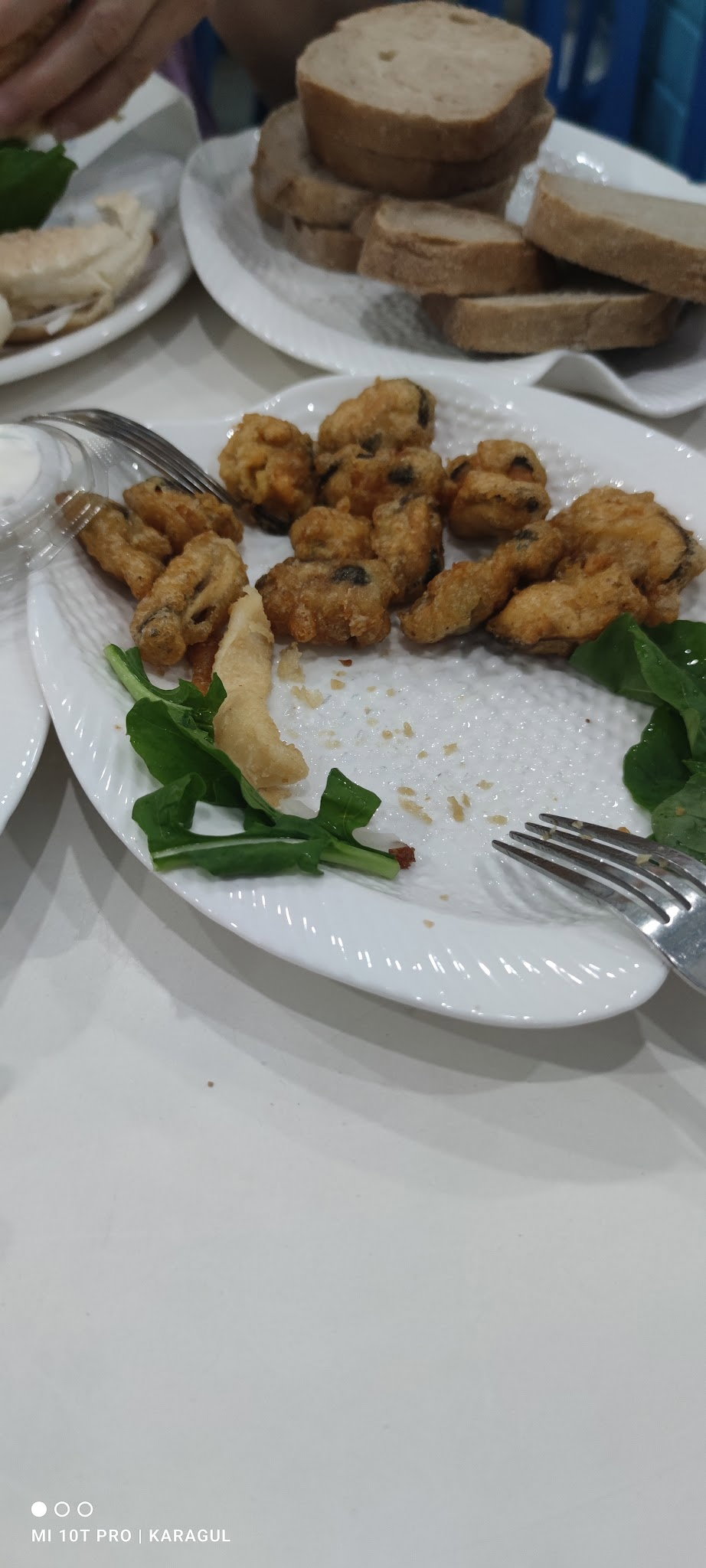 İskelet Balık